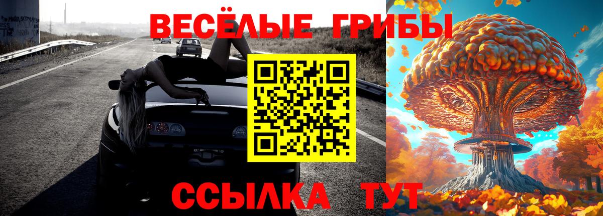 Псилоцибиновые грибы прущие грибы  Вход с VPN  Тольятти 